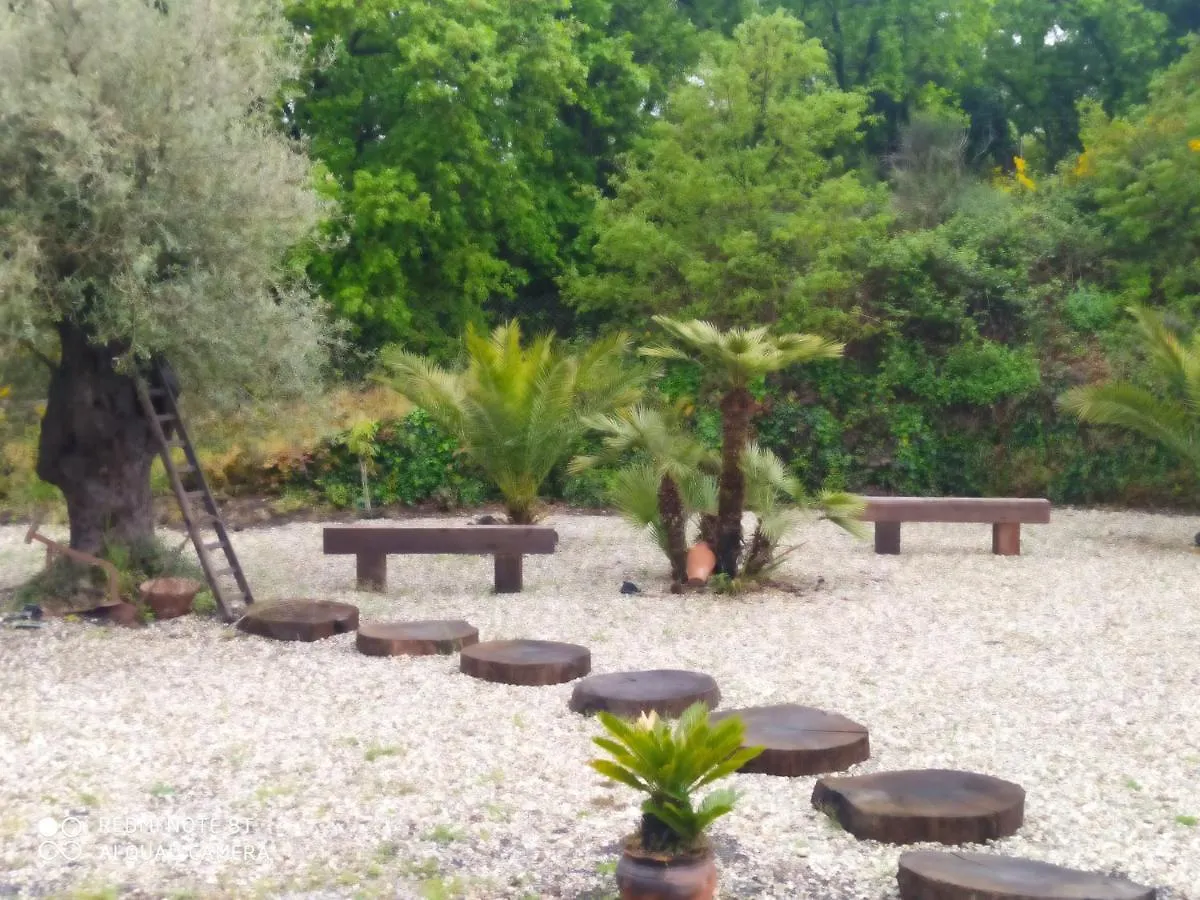 Hotel Antico Palmento Dell'Etna à Pedara
