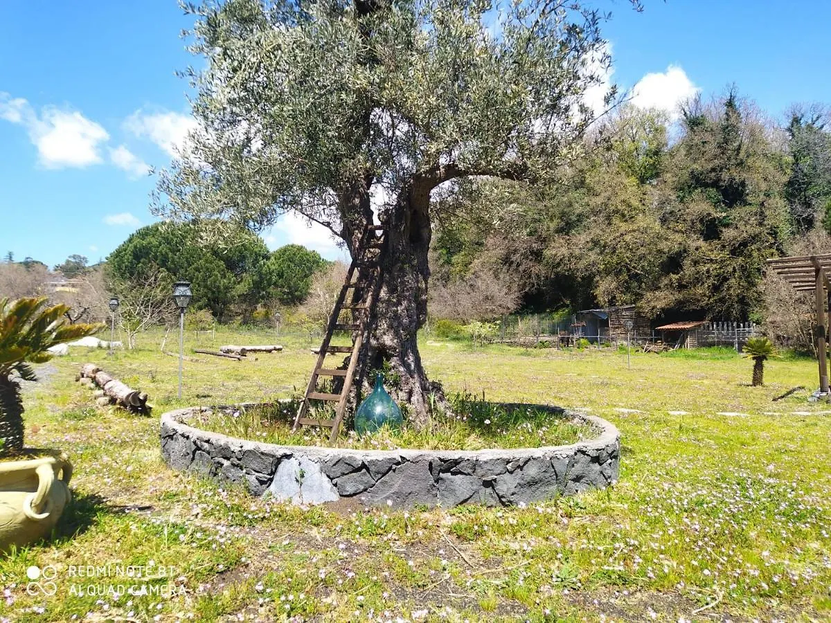 Hotel Antico Palmento Dell'Etna à Pedara Italie