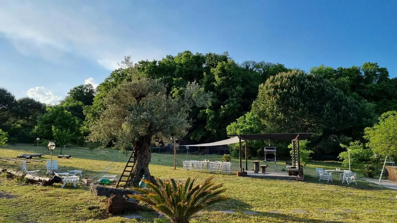 Hotel Antico Palmento Dell'Etna à Pedara