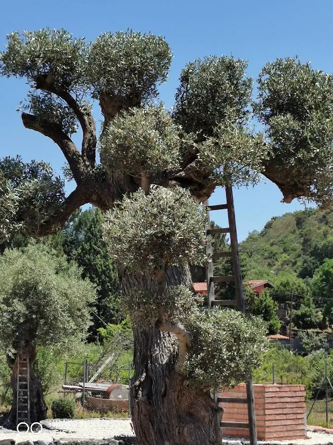 Hotel Antico Palmento Dell'Etna à Pedara 0*,  Italie