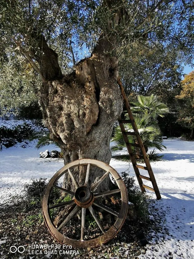 Antico Palmento Dell'Etna Hotel Pedara Guest house